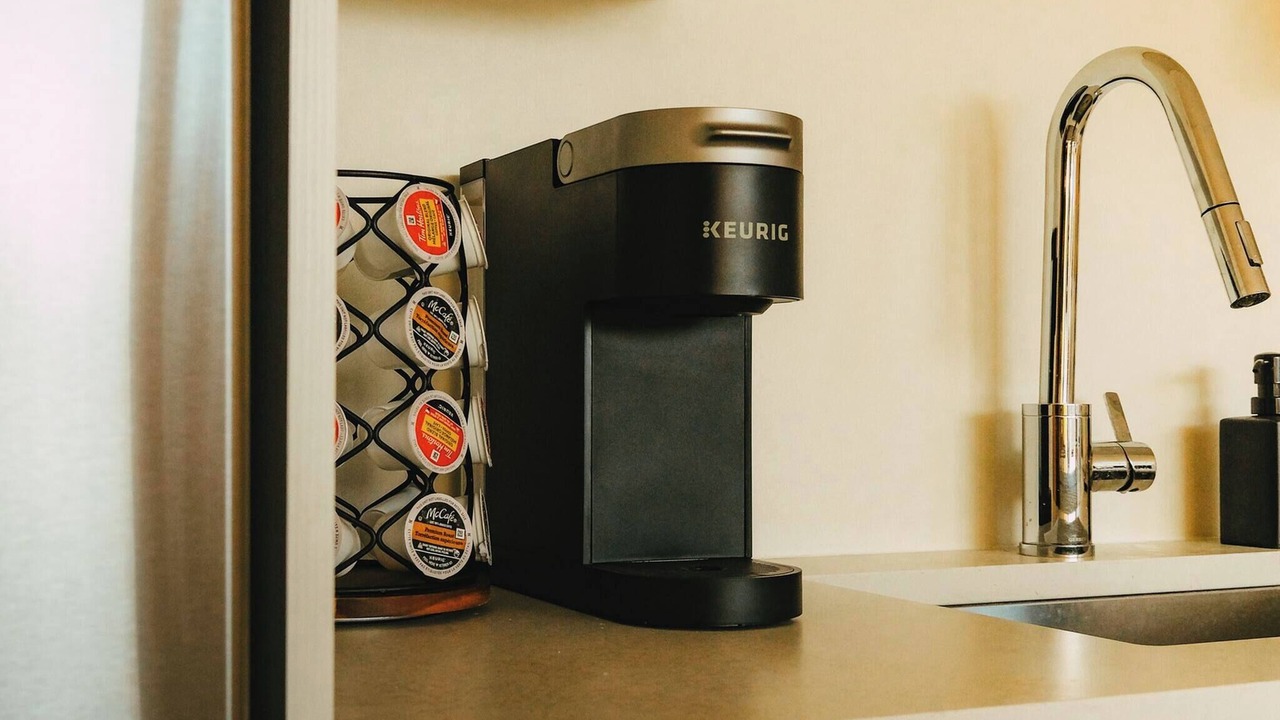 Photo of Others in Downtown Halifax