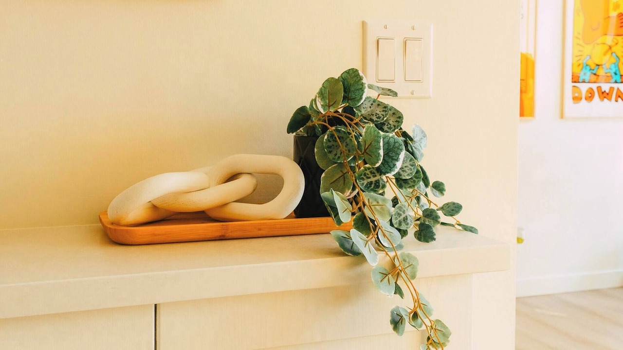 Photo of Others in Downtown Halifax