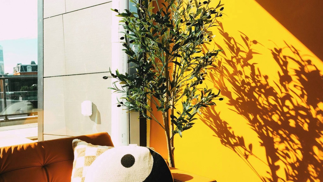 Photo of Others in Downtown Halifax