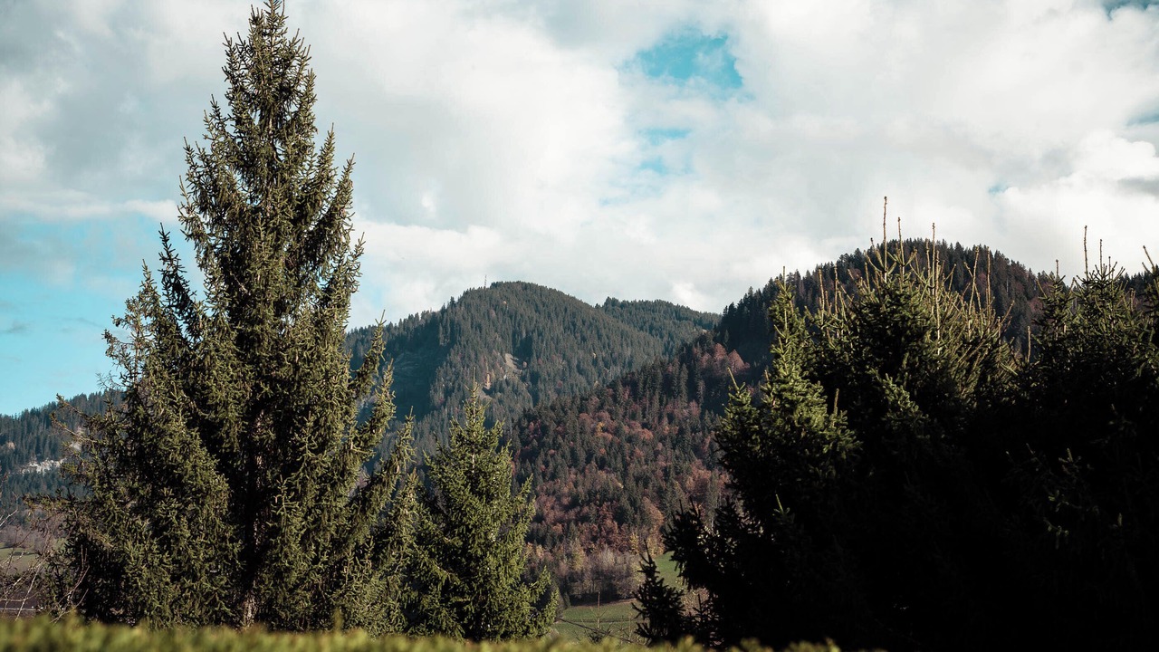 Photo of Others in Praz-sur-Arly