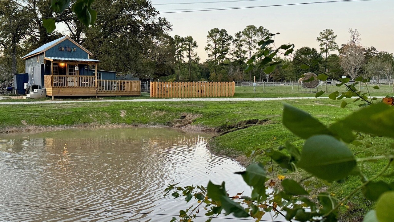Photo of Outdoor in Conroe