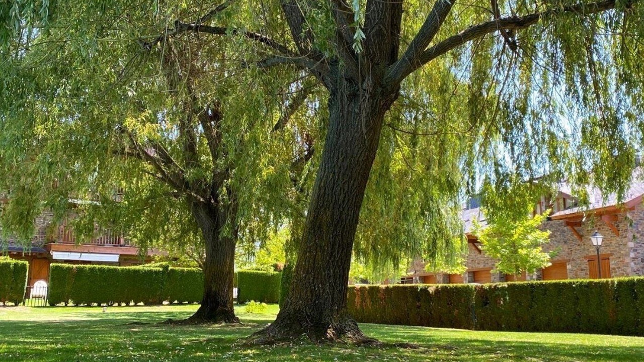 Photo of Outdoor in Palau-de-Cerdagne
