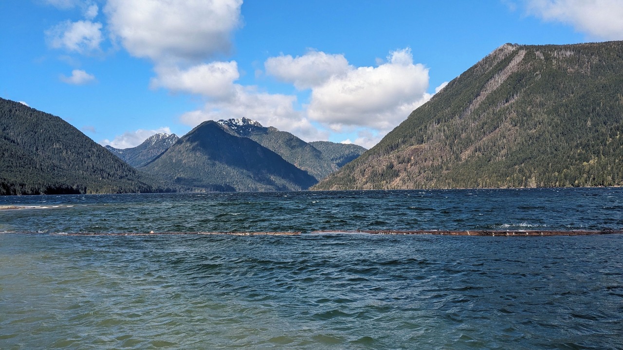 Photo of Others in Hoodsport