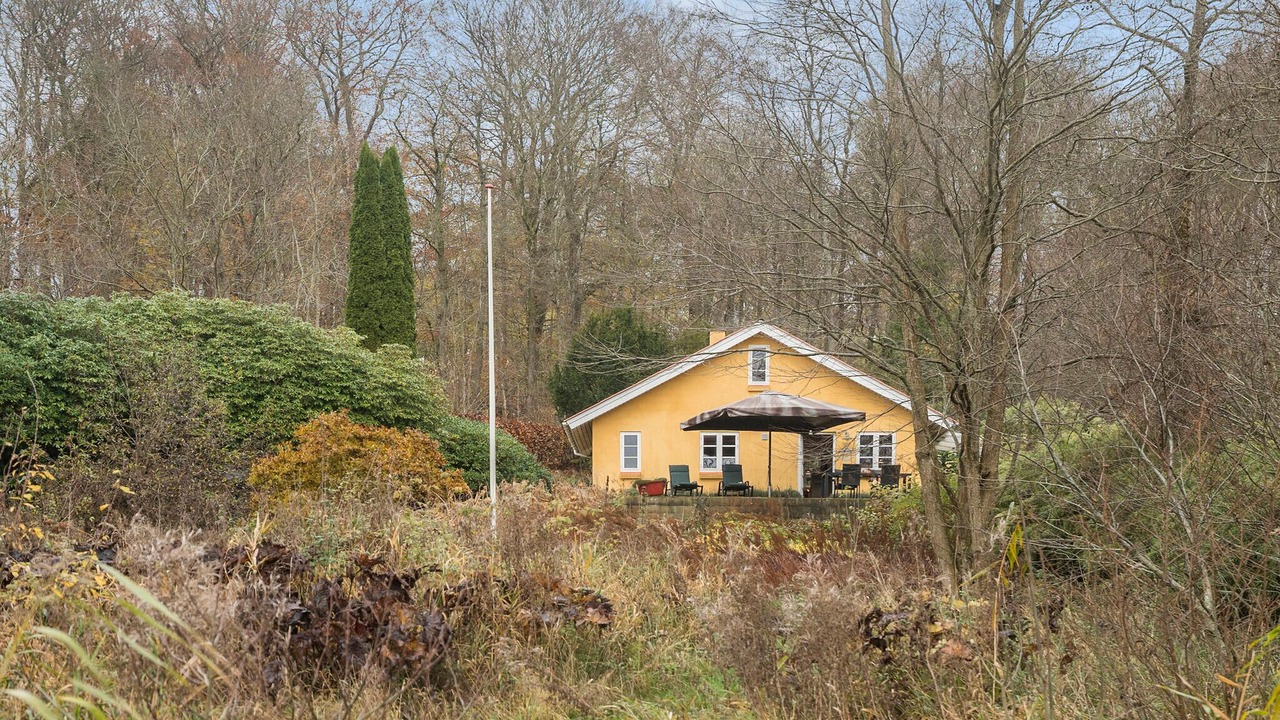 Photo of Others in Jelling