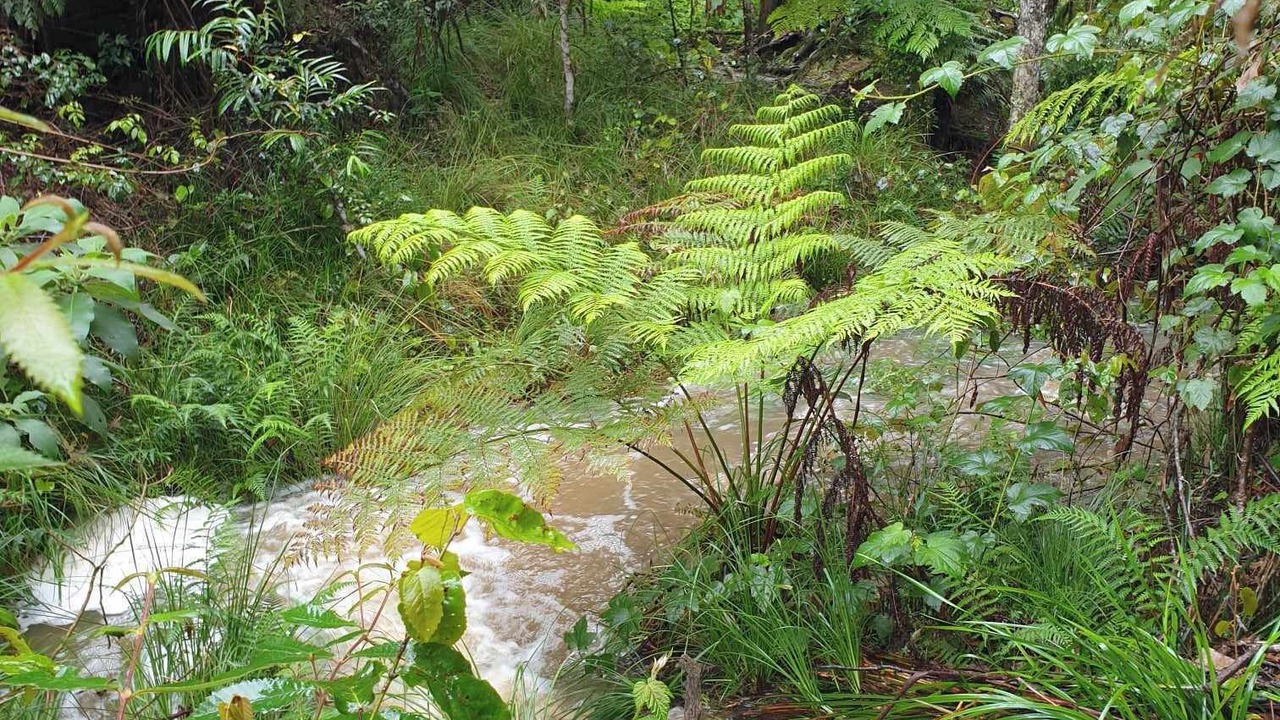 Photo of Others in Billys Creek