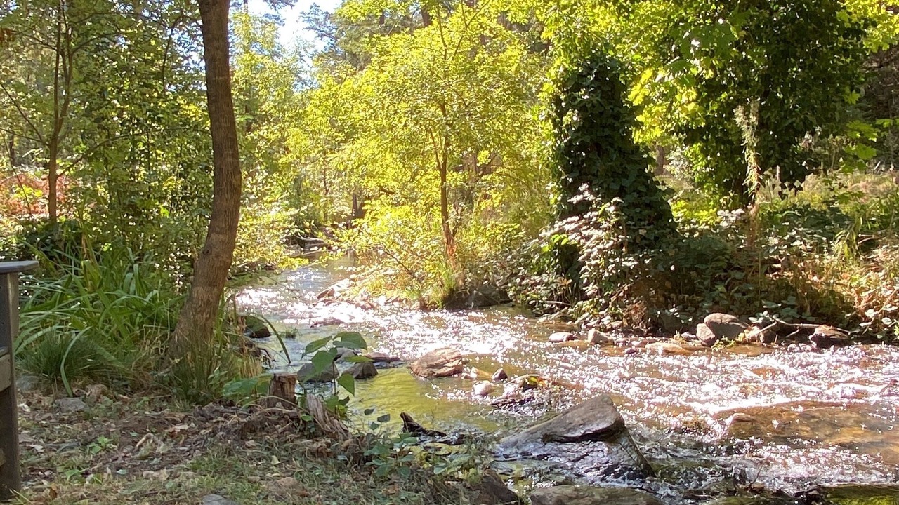 Photo of Others in Angels Camp