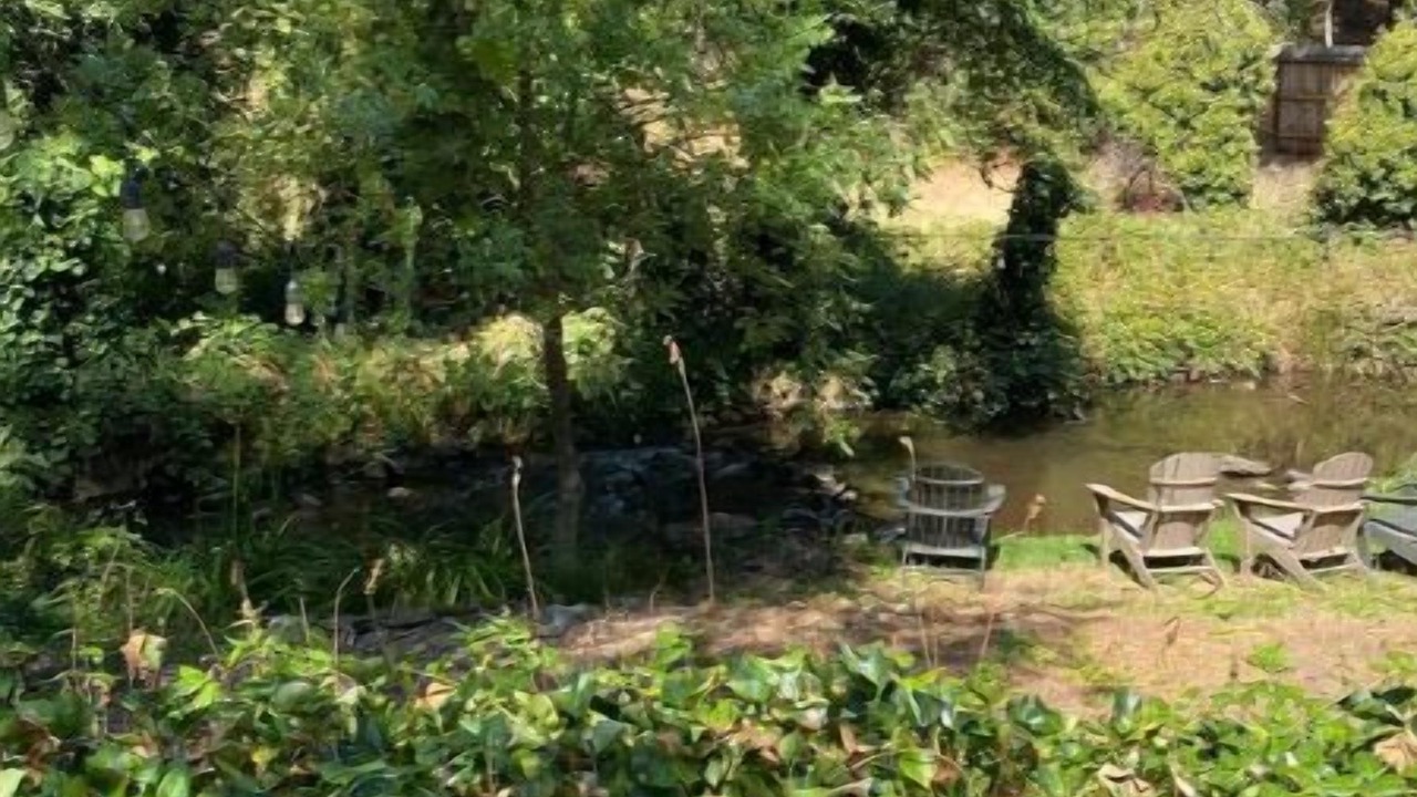 Photo of Outdoor in Angels Camp