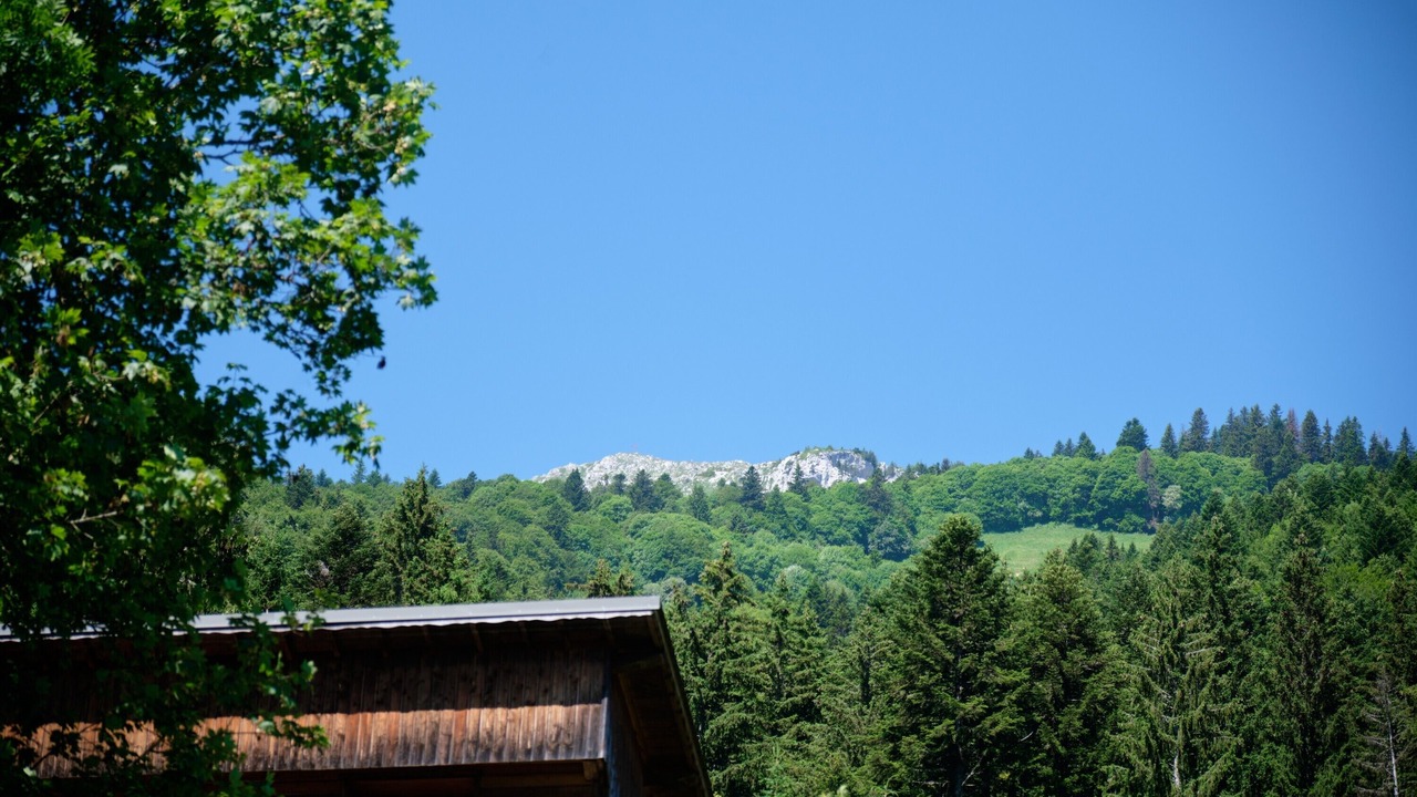 Photo of Others in Saint-Pierre-d'Entremont