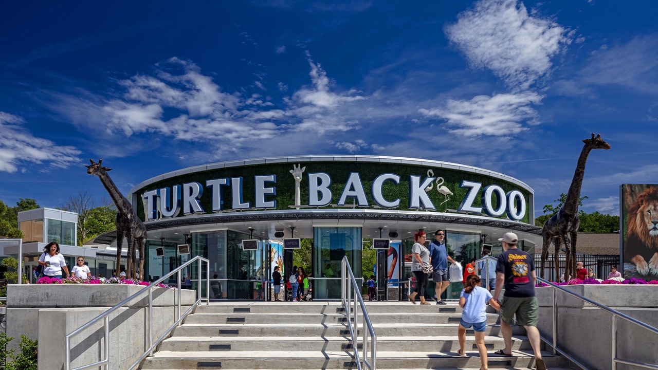 Photo of Others in Weequahic