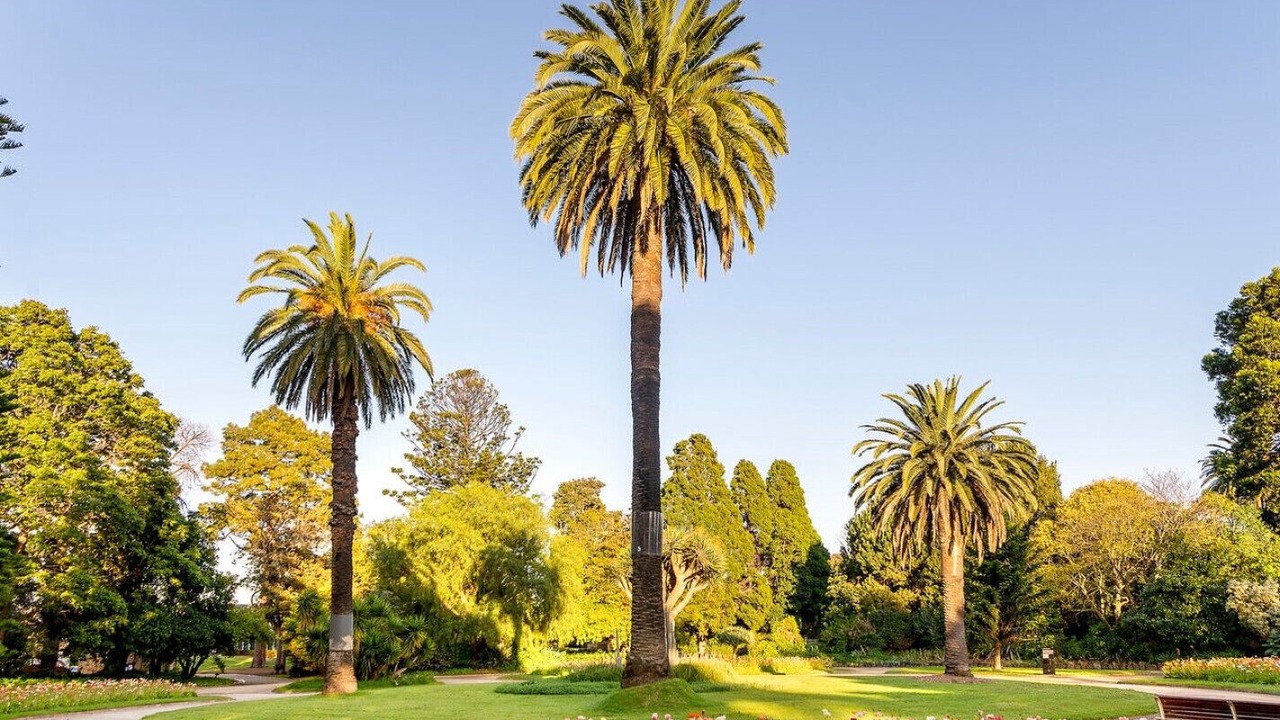 Photo of Others in Saint Kilda South