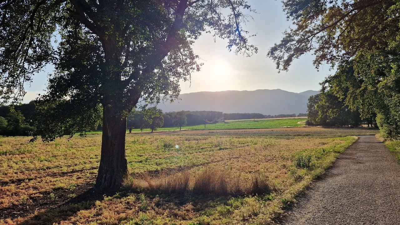 Photo of Others in Prevessin-Moens