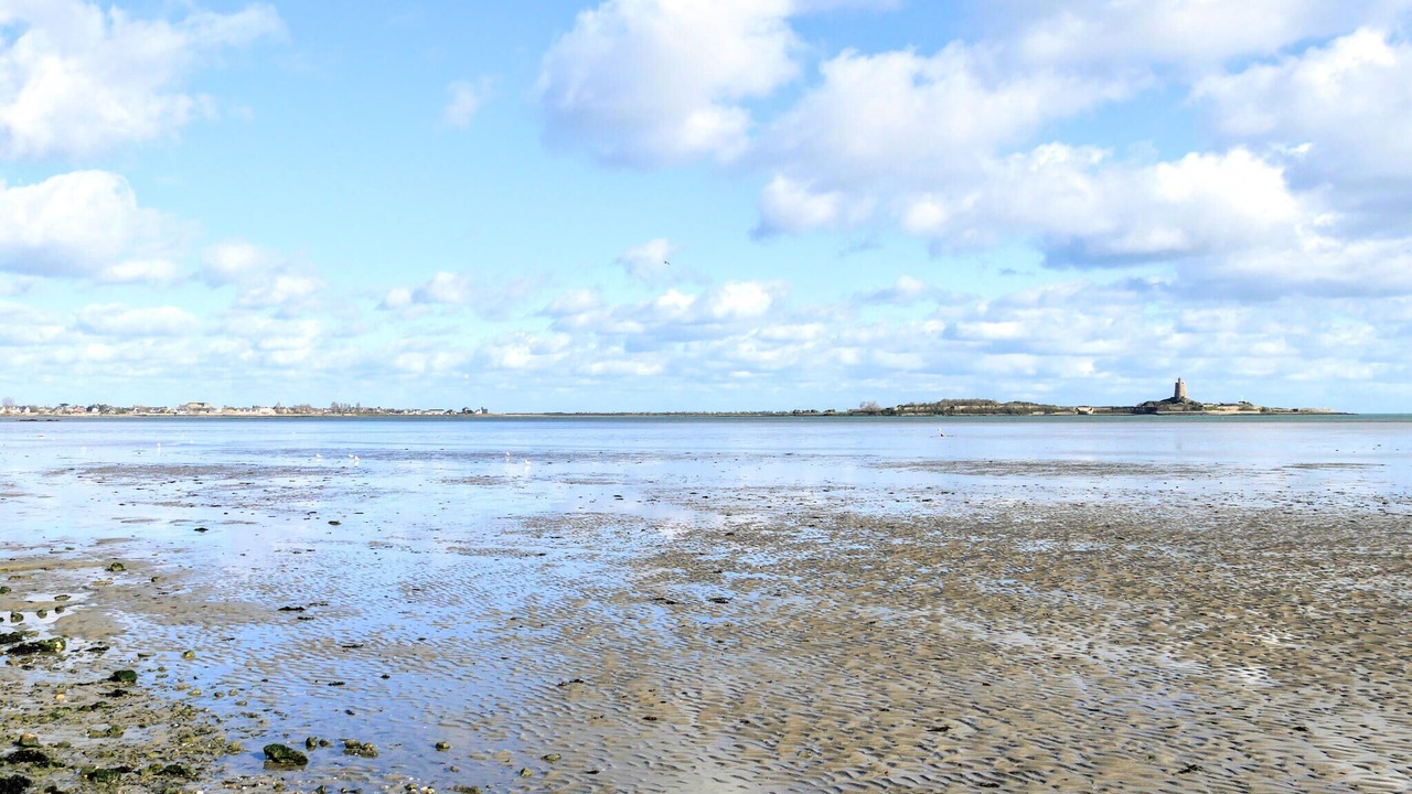 Photo of Others in Saint-Marcouf