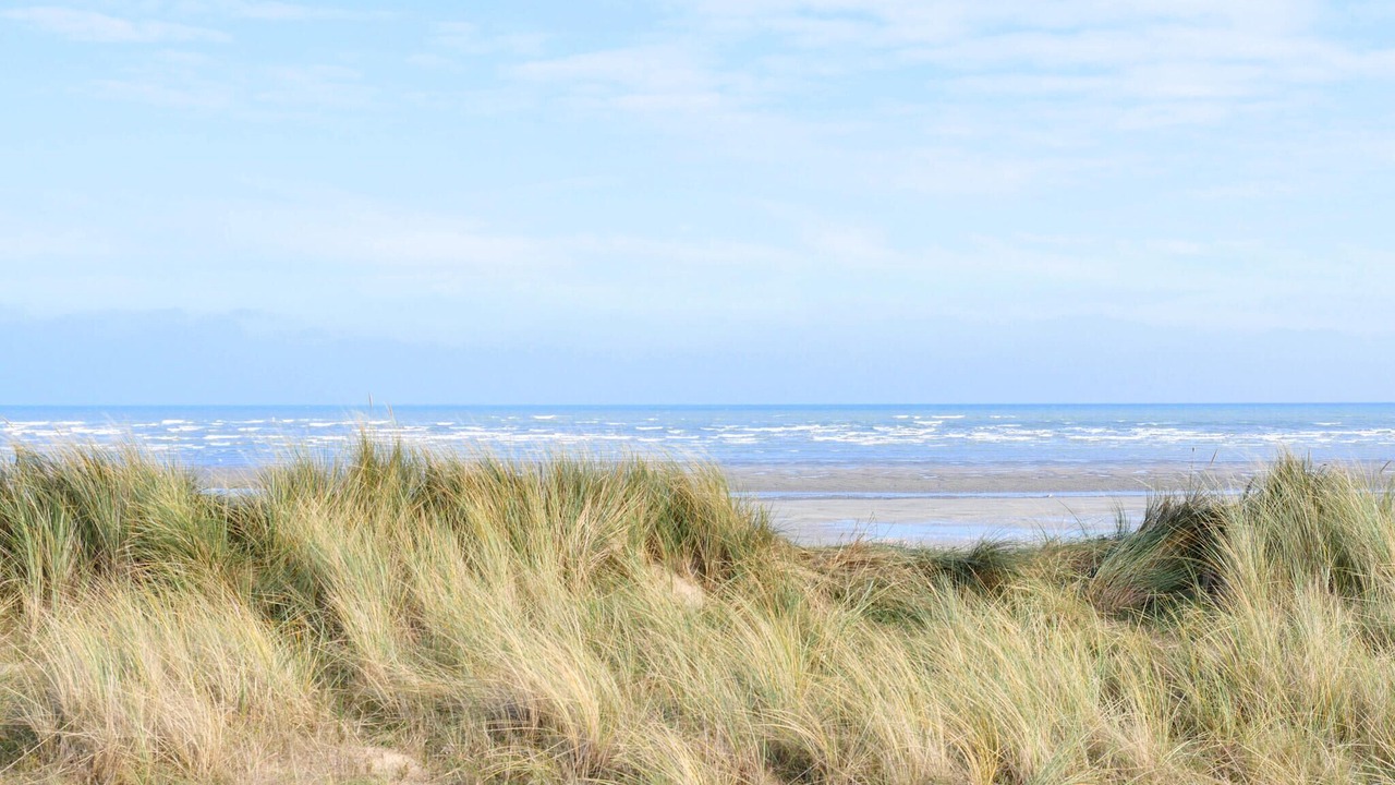 Photo of Others in Saint-Marcouf