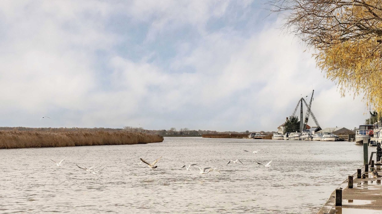 Photo of Others in Reedham