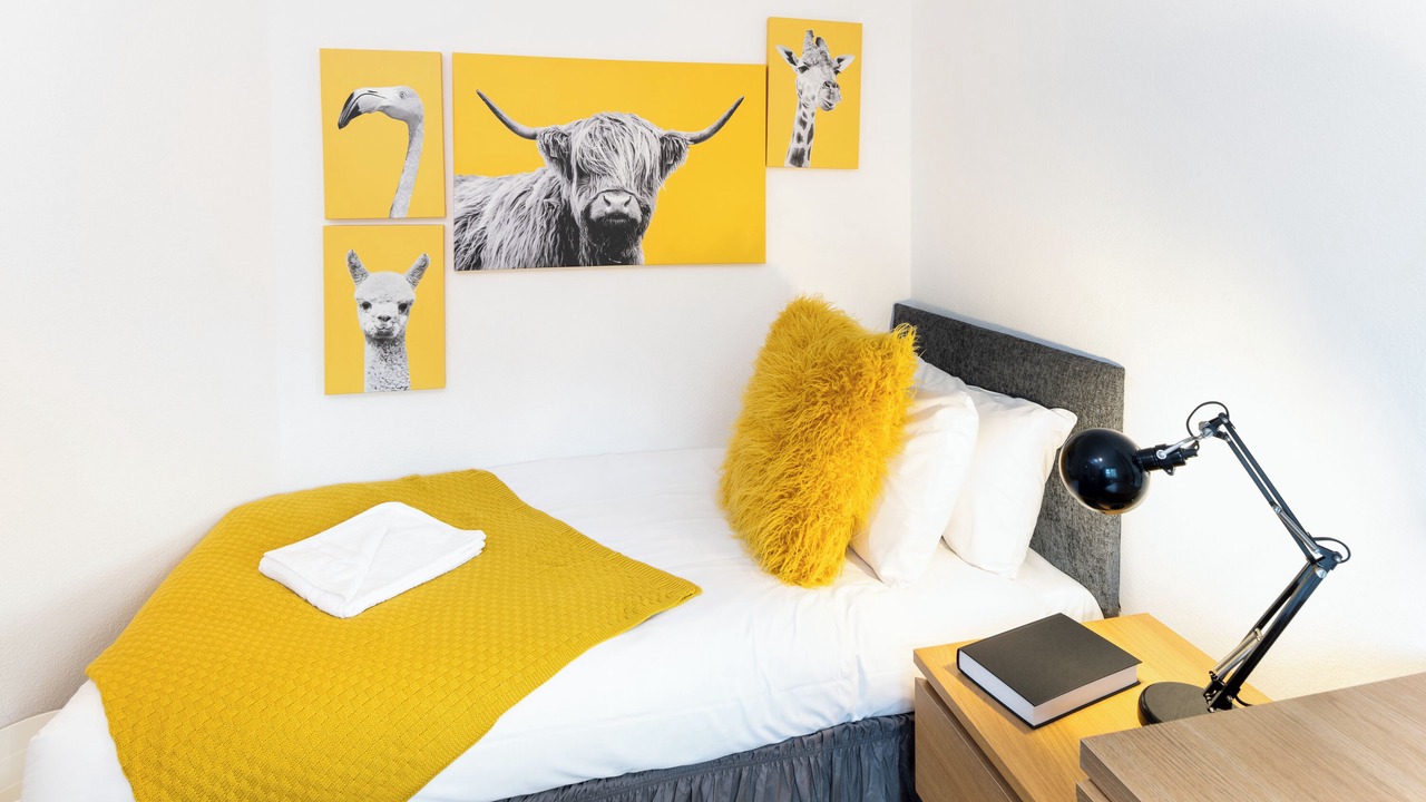 Photo of Bedroom in Horfield