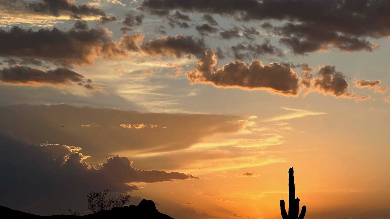 Photo of Others in Tucson