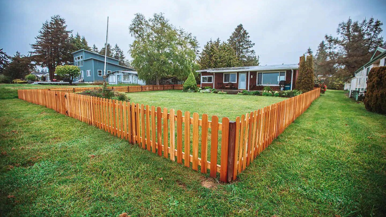 Photo of Others in Kingston