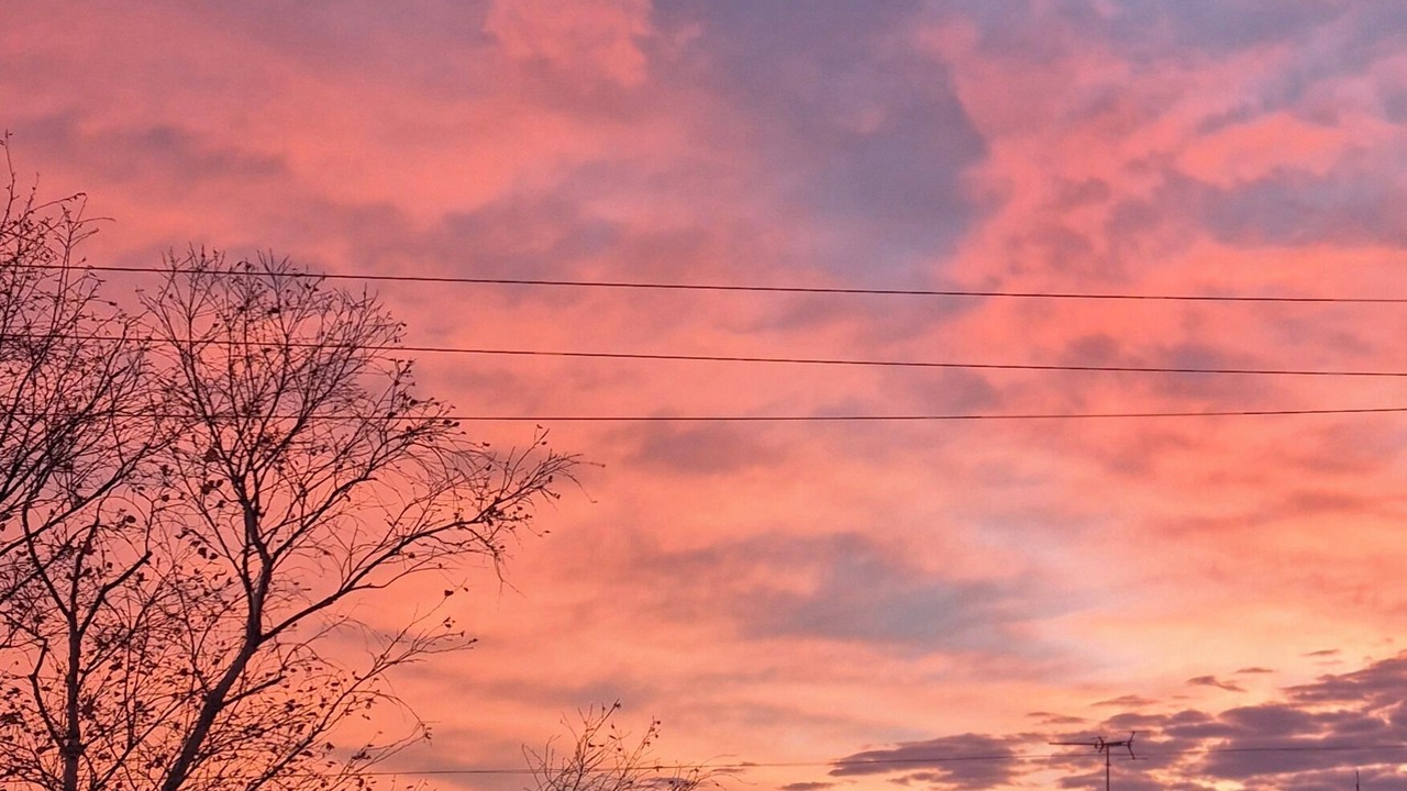 Photo of Others in Creswick