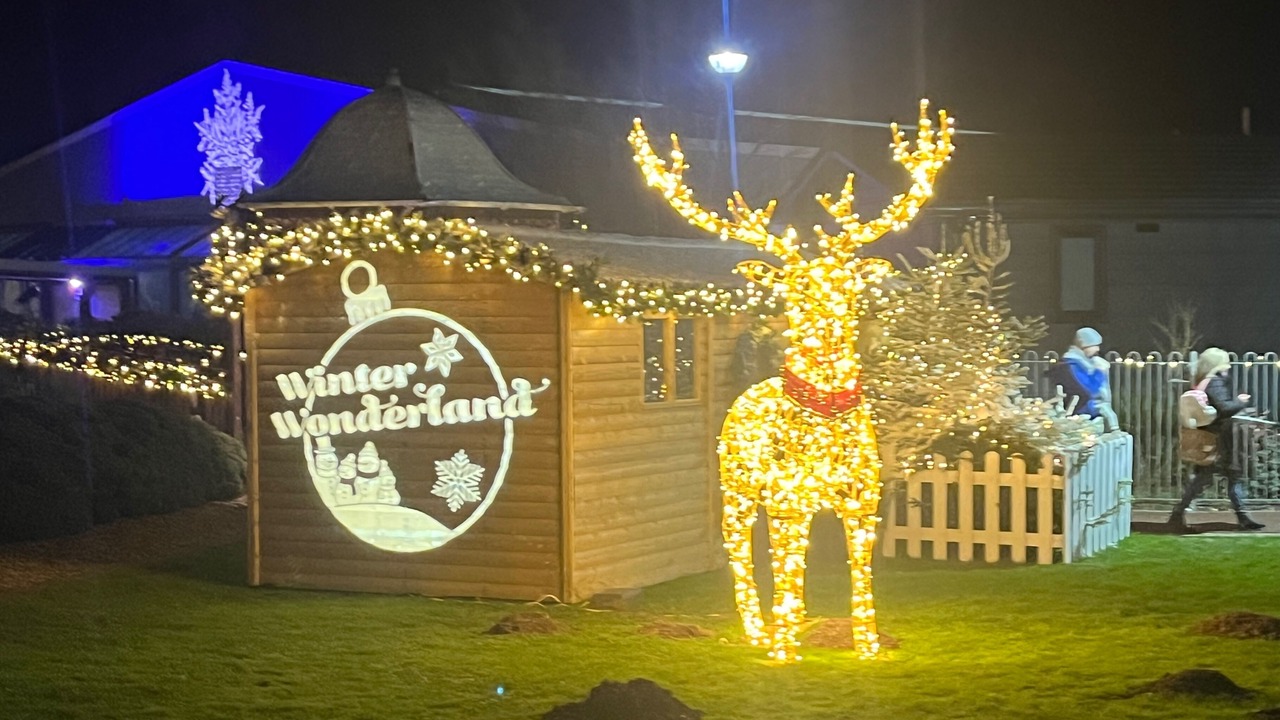 Photo of Others in Cayton Bay