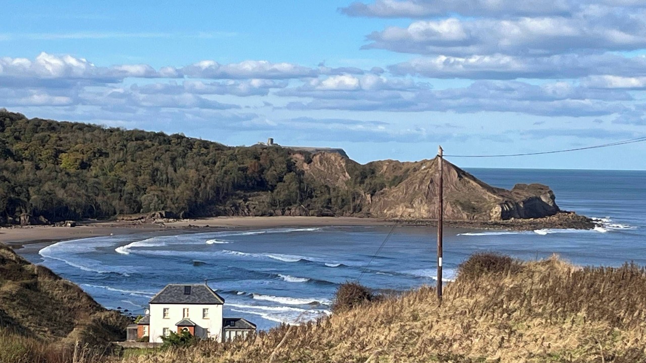 Photo of Others in Cayton Bay