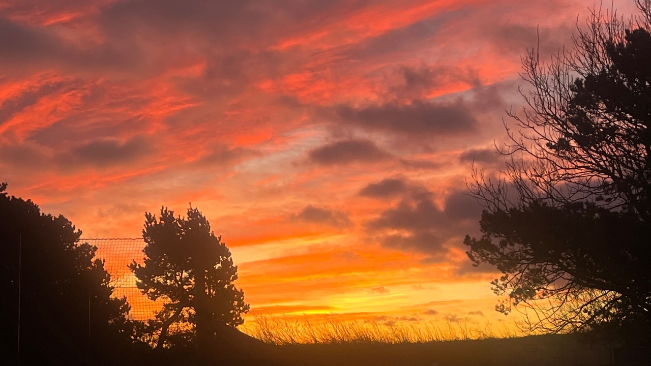 Photo of Others in Cayton Bay