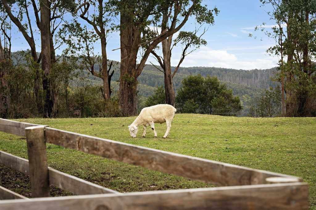 Photo of Others in Jeeralang