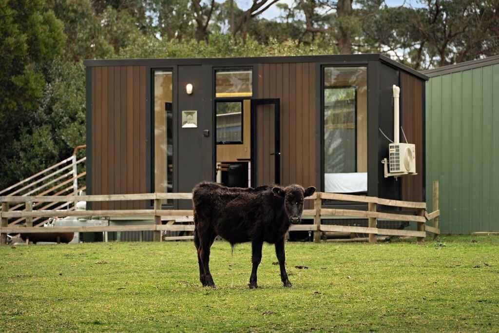 Photo of Outdoor in Jeeralang