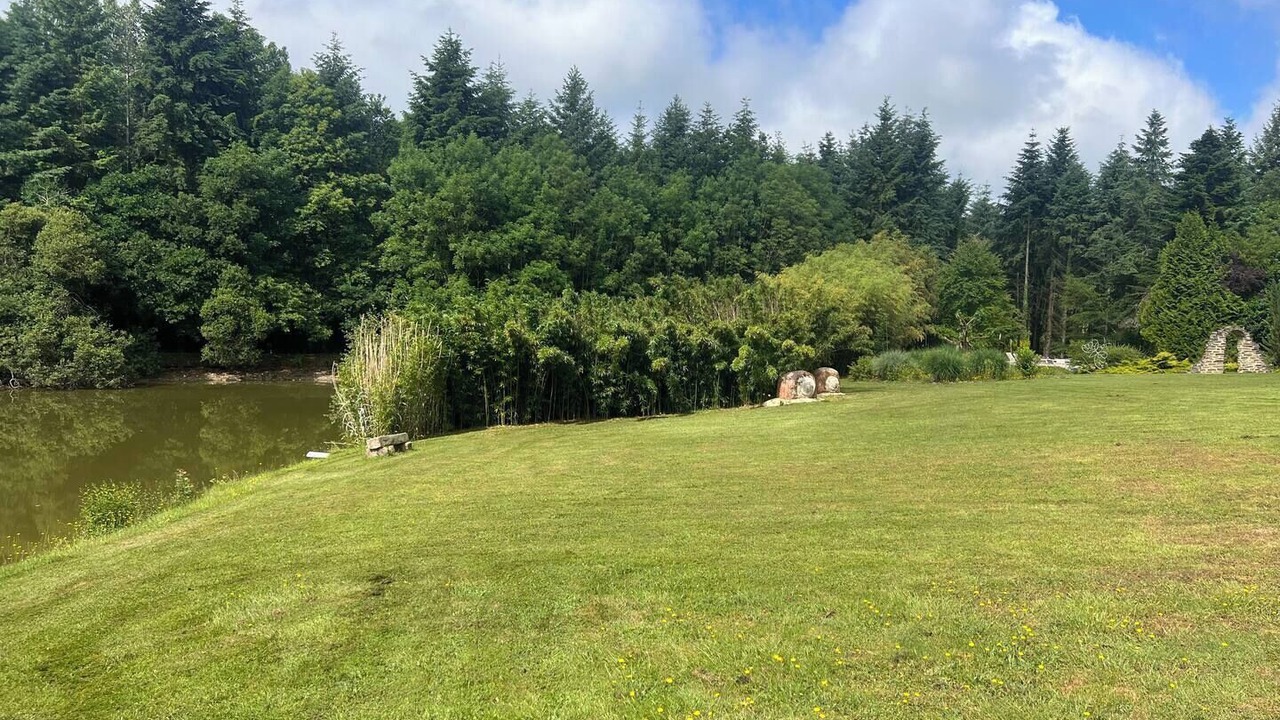 Photo of Others in Bussiere-Saint-Georges