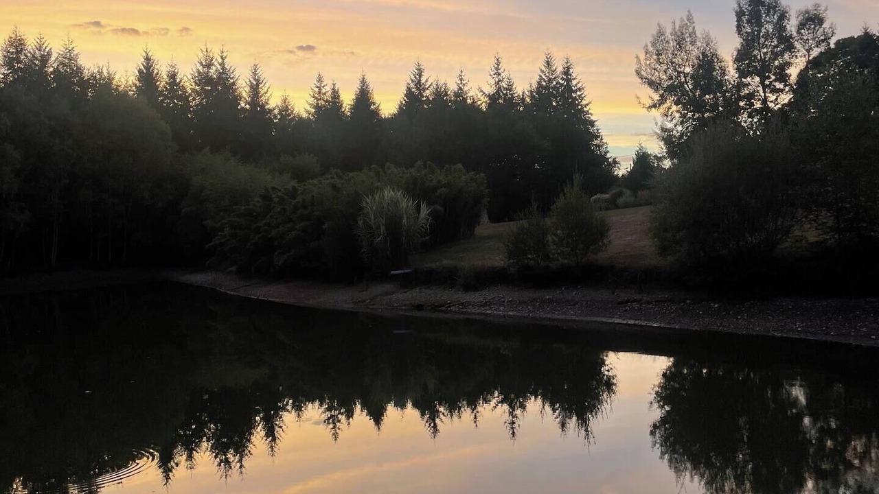 Photo of Others in Bussiere-Saint-Georges