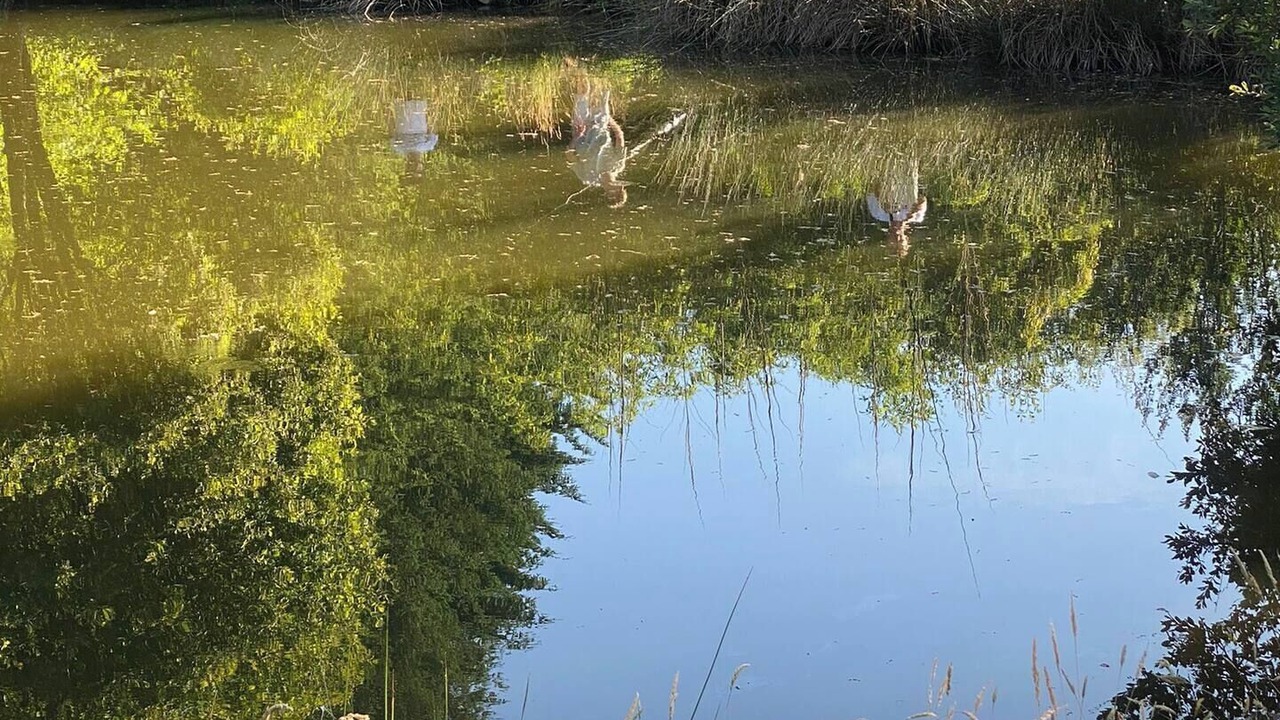 Photo of Others in Bussiere-Saint-Georges