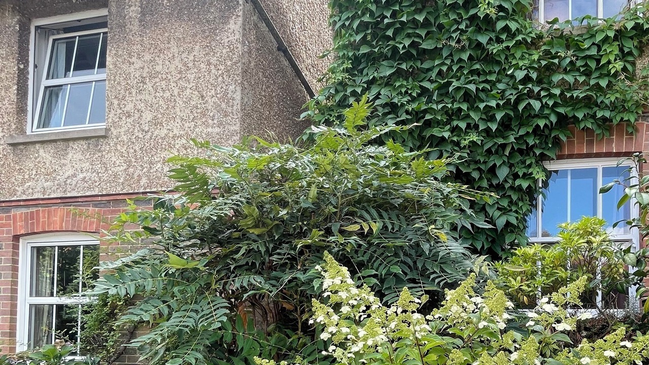 Photo of Outdoor in Forest Row