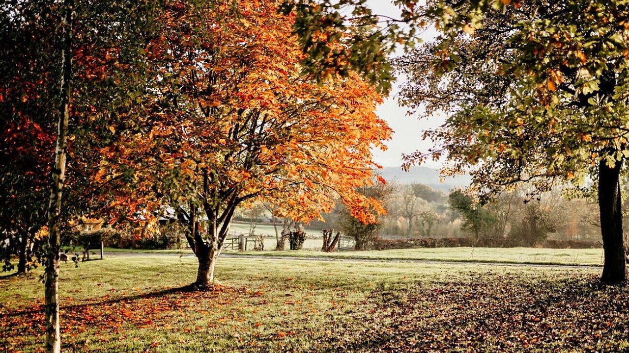 Photo of Others in Woolhope