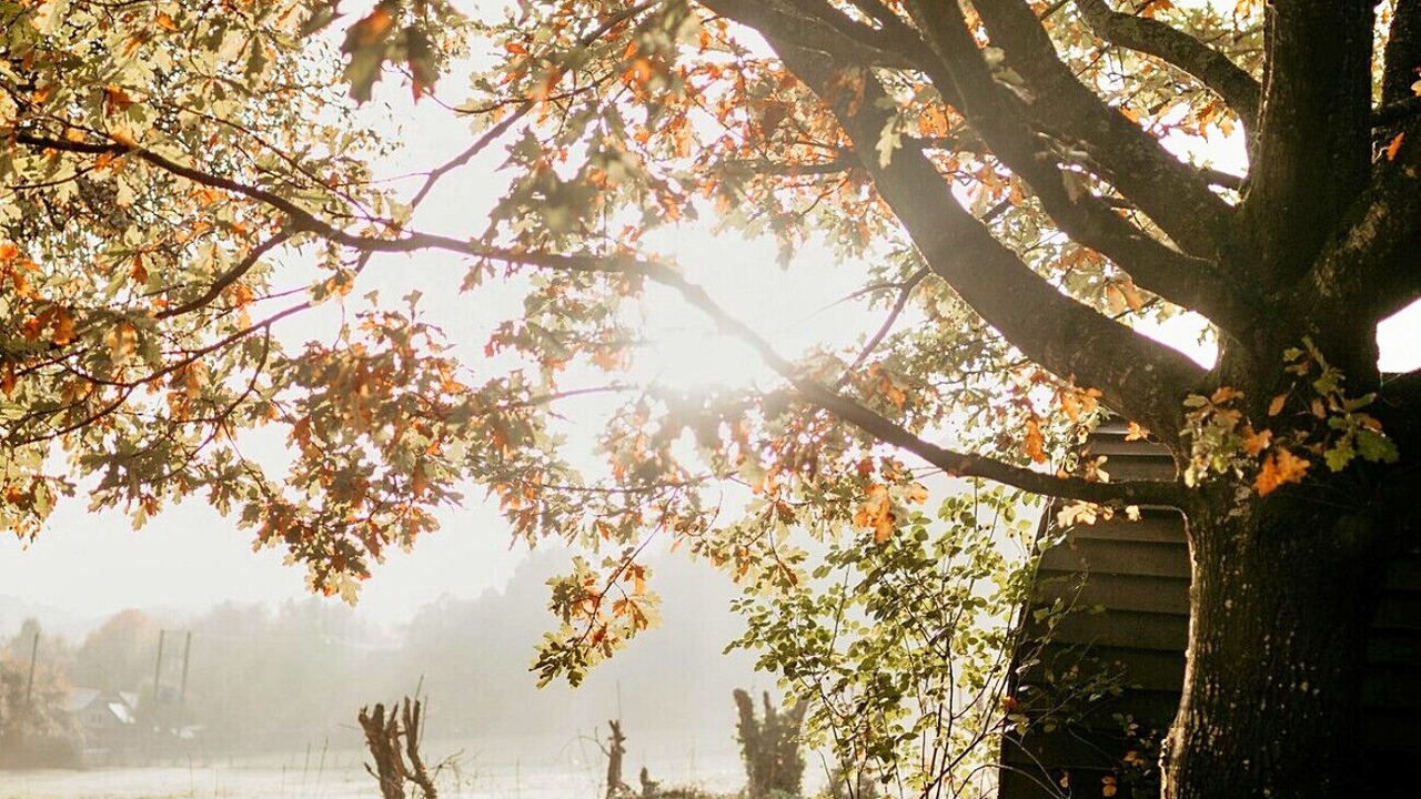 Photo of Others in Woolhope