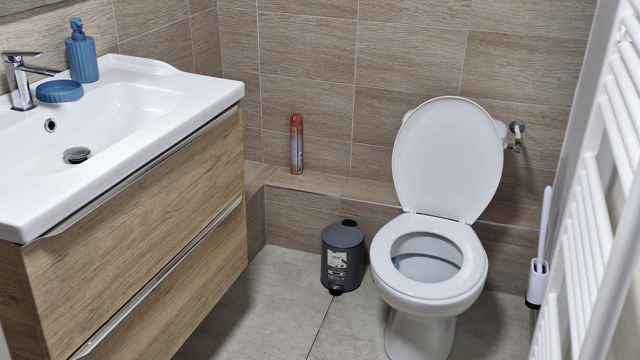 Photo of Bathroom in Valenciennes