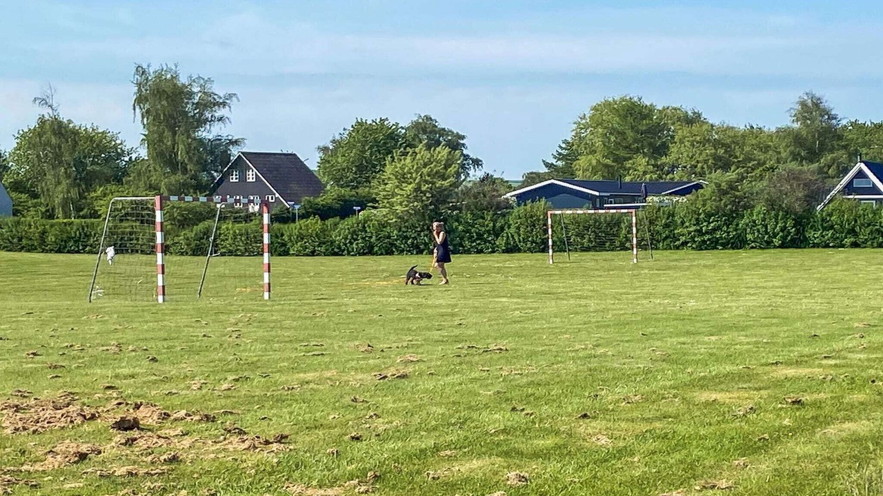 Photo of Others in Middelfart