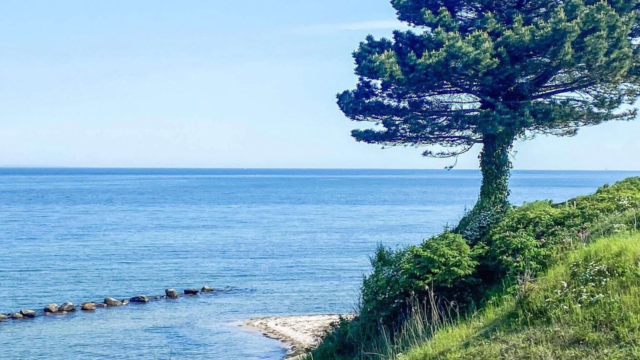 Photo of Others in Middelfart
