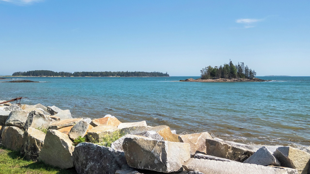 Photo of Others in Owls Head