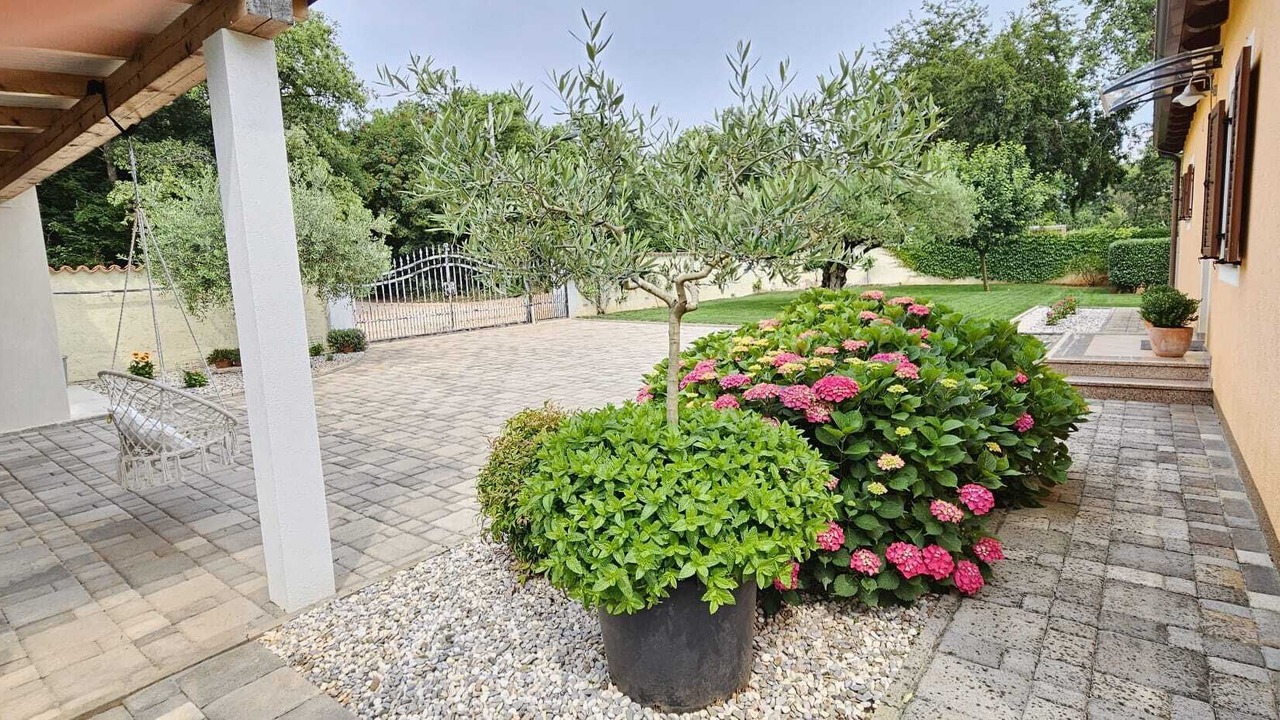 Photo of Outdoor in Buzinija