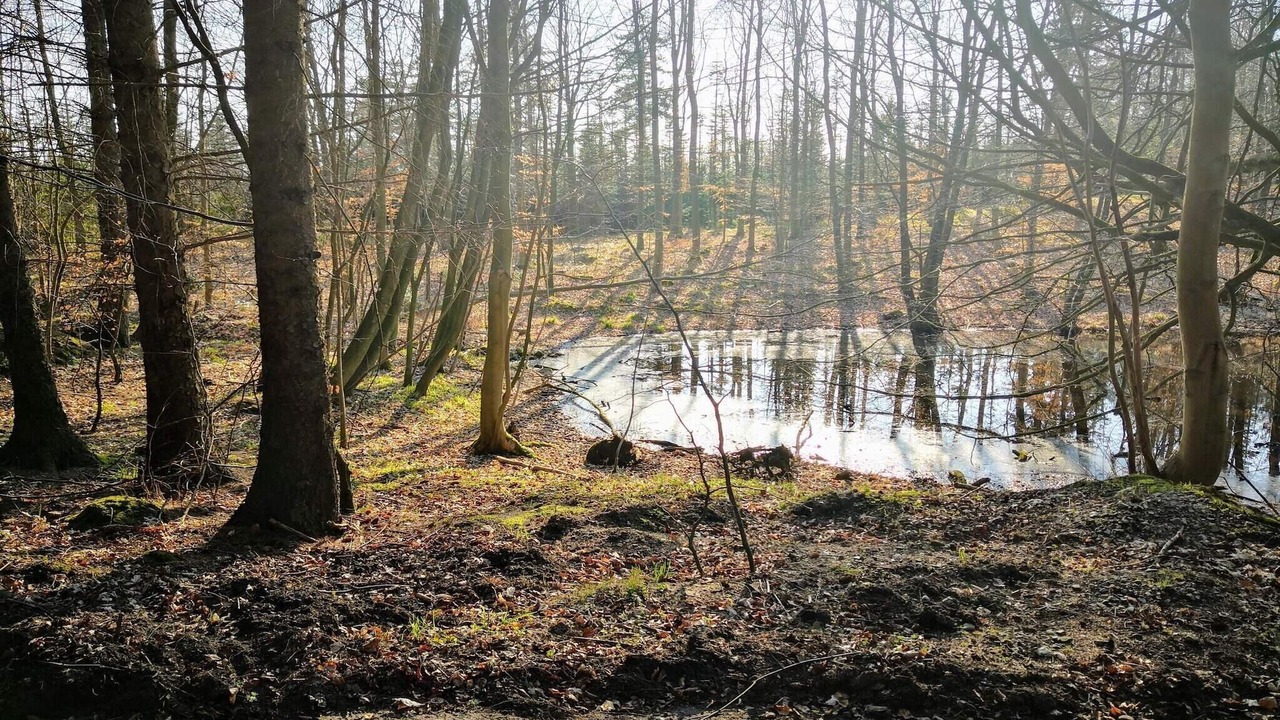 Photo of Others in Faaborg