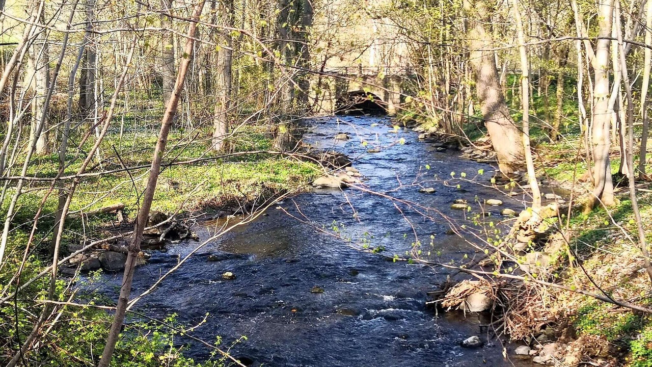 Photo of Others in Faaborg