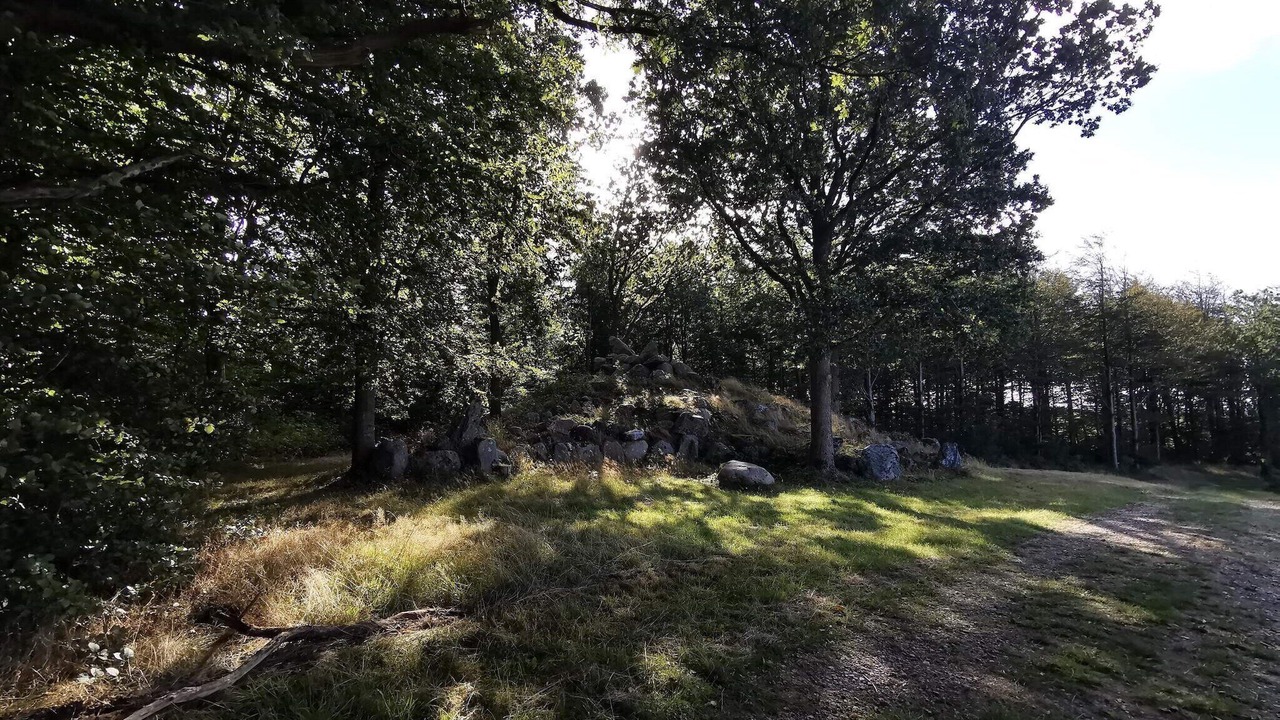 Photo of Others in Faaborg