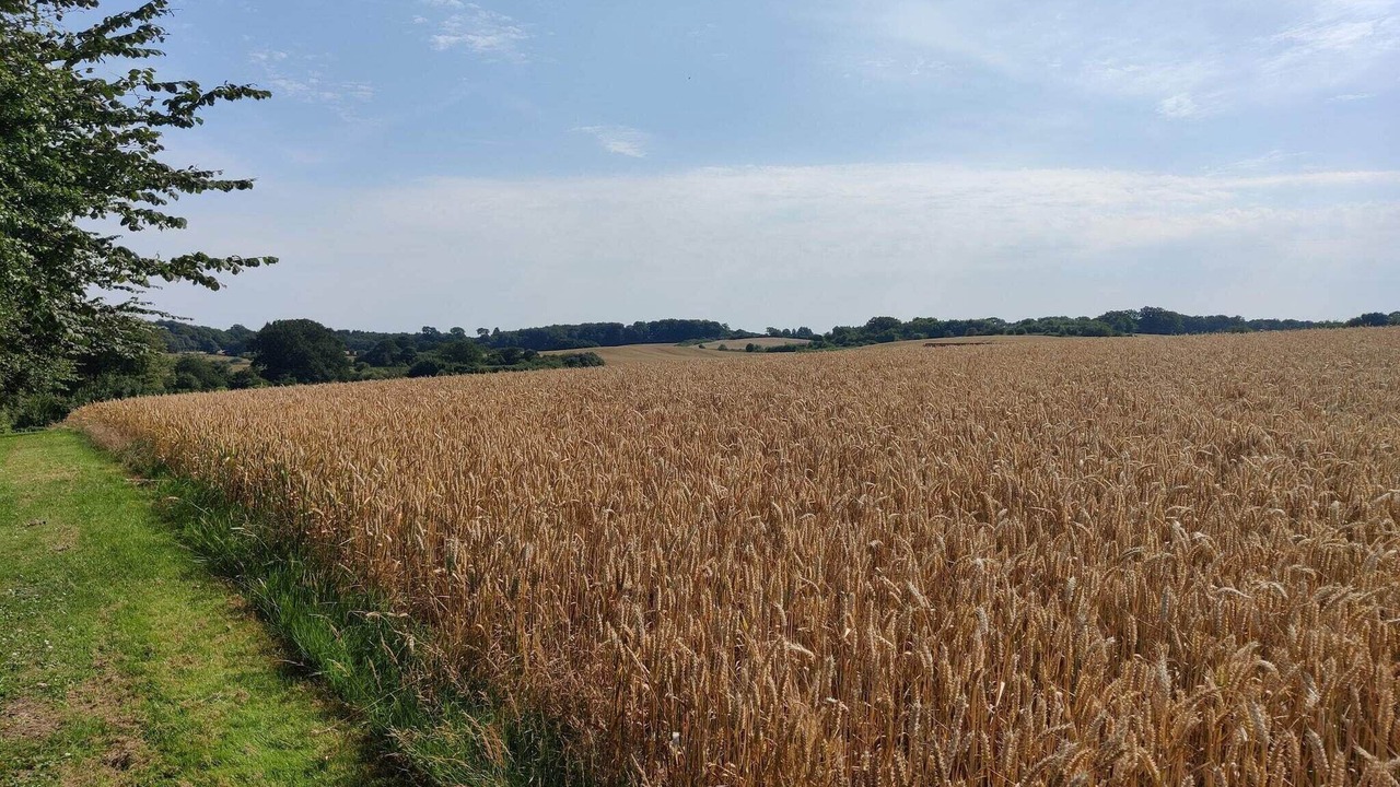 Photo of Others in Faaborg