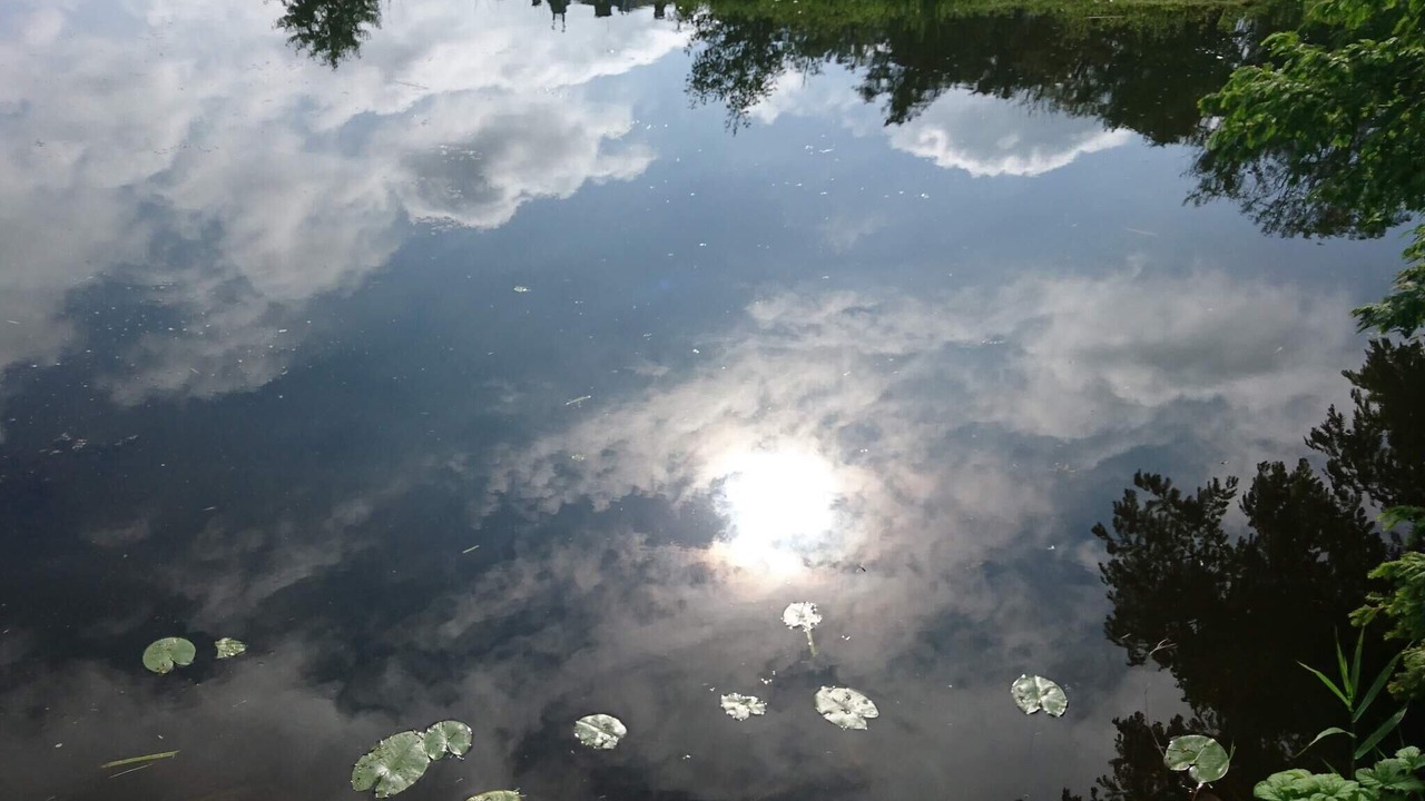 Photo of Others in Faaborg