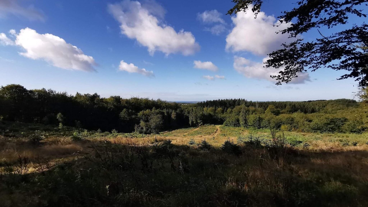 Photo of Others in Faaborg