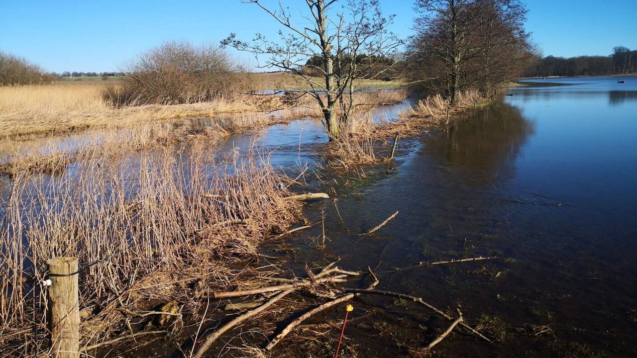 Photo of Others in Faaborg