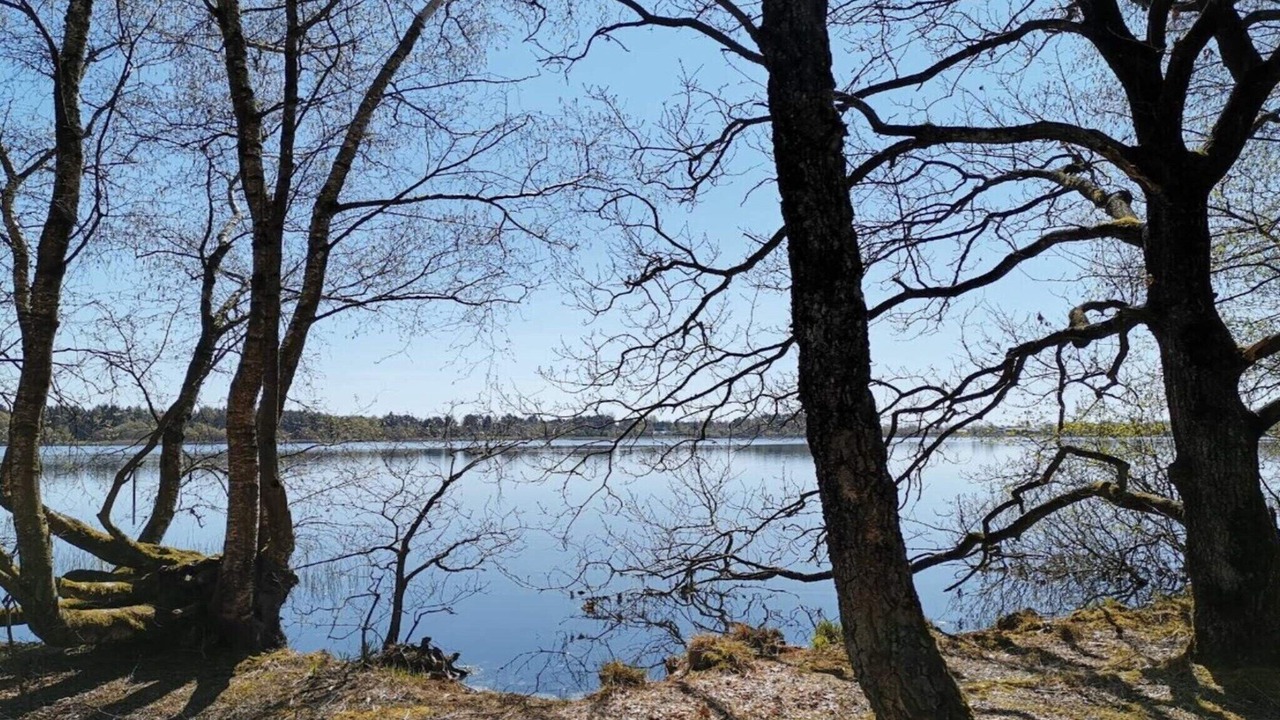 Photo of Others in Ansager