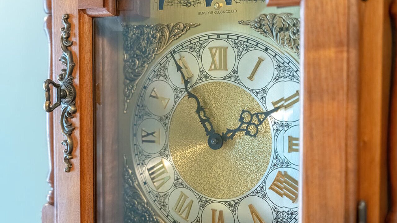 Photo of Others in Harrogate