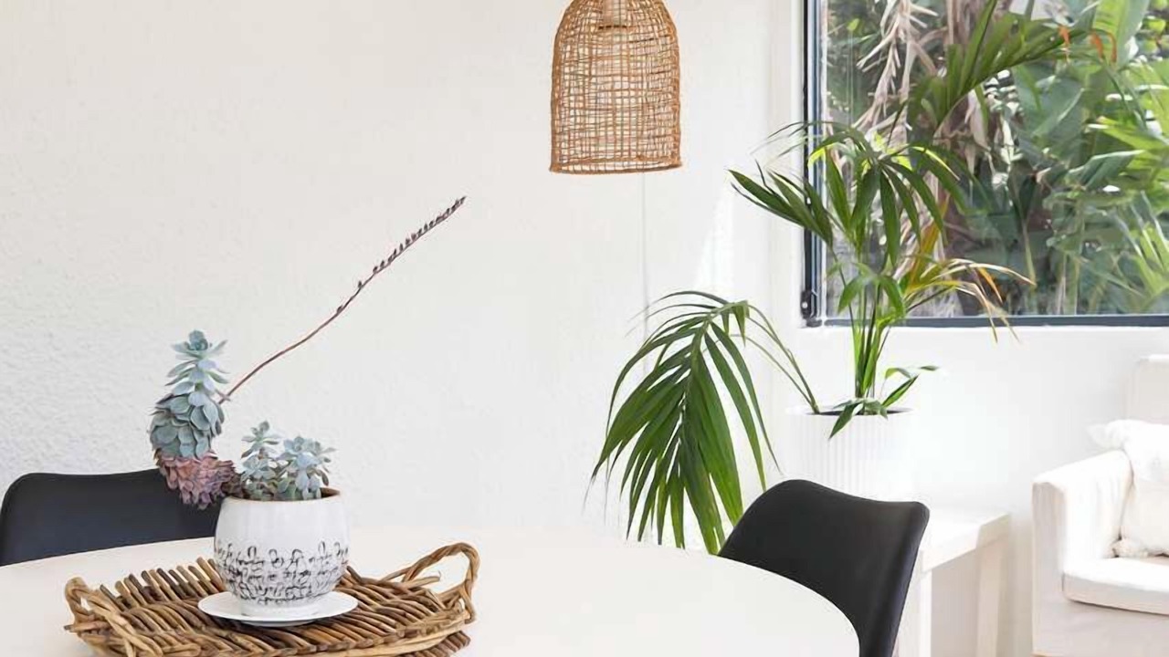 Photo of Others in Mona Vale