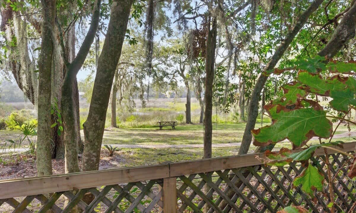 Photo of Outdoor in Saint Simons Heights