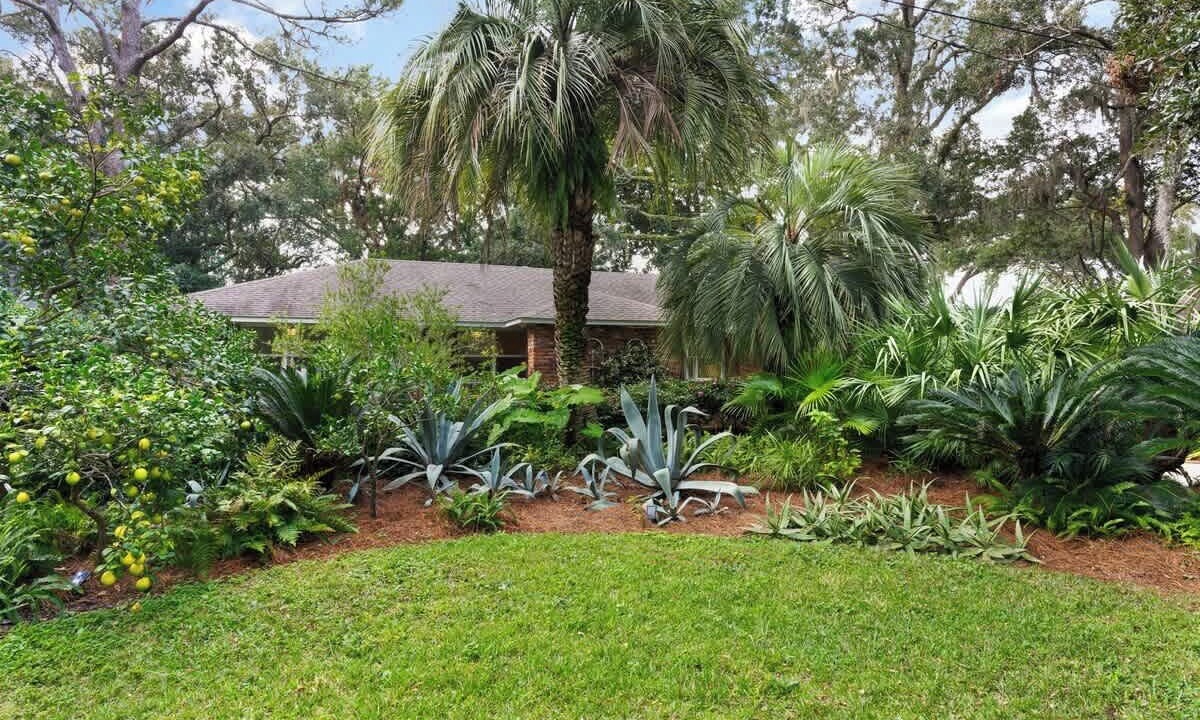 Photo of Outdoor in Saint Simons Heights